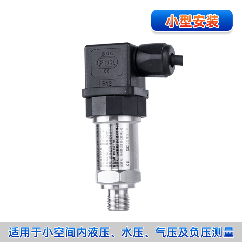 P310小型壓力變送器